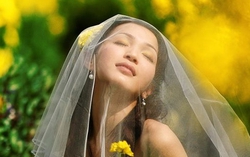 Hoa cưới đa màu và đơn sắc